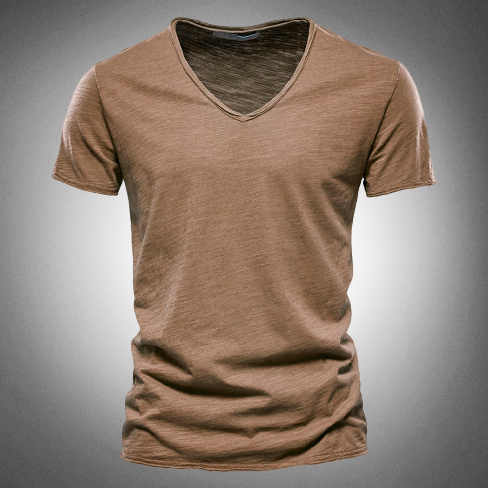 Hudson Regular Fit Cotton Shirt