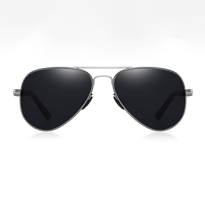 Harlan Aviator Stainless Steel Sunglasses