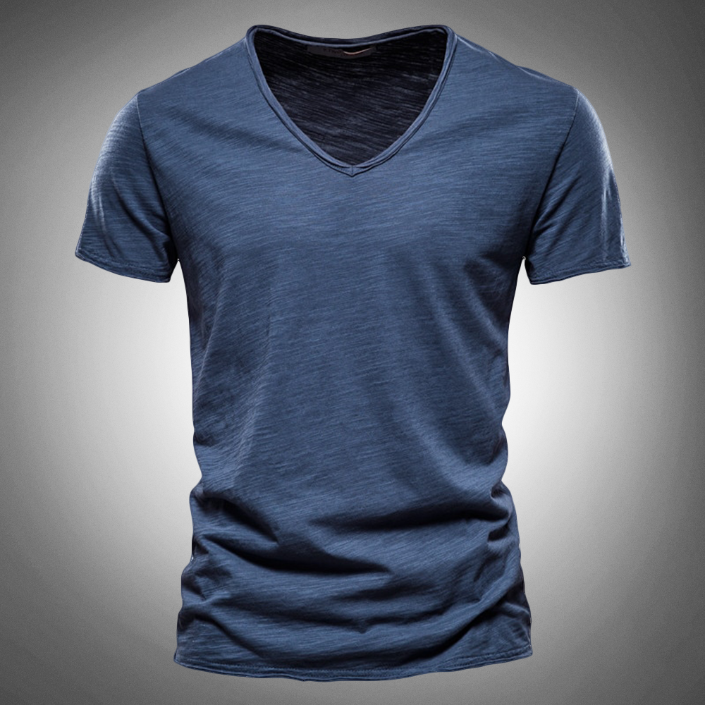 Hudson Regular Fit Cotton Shirt