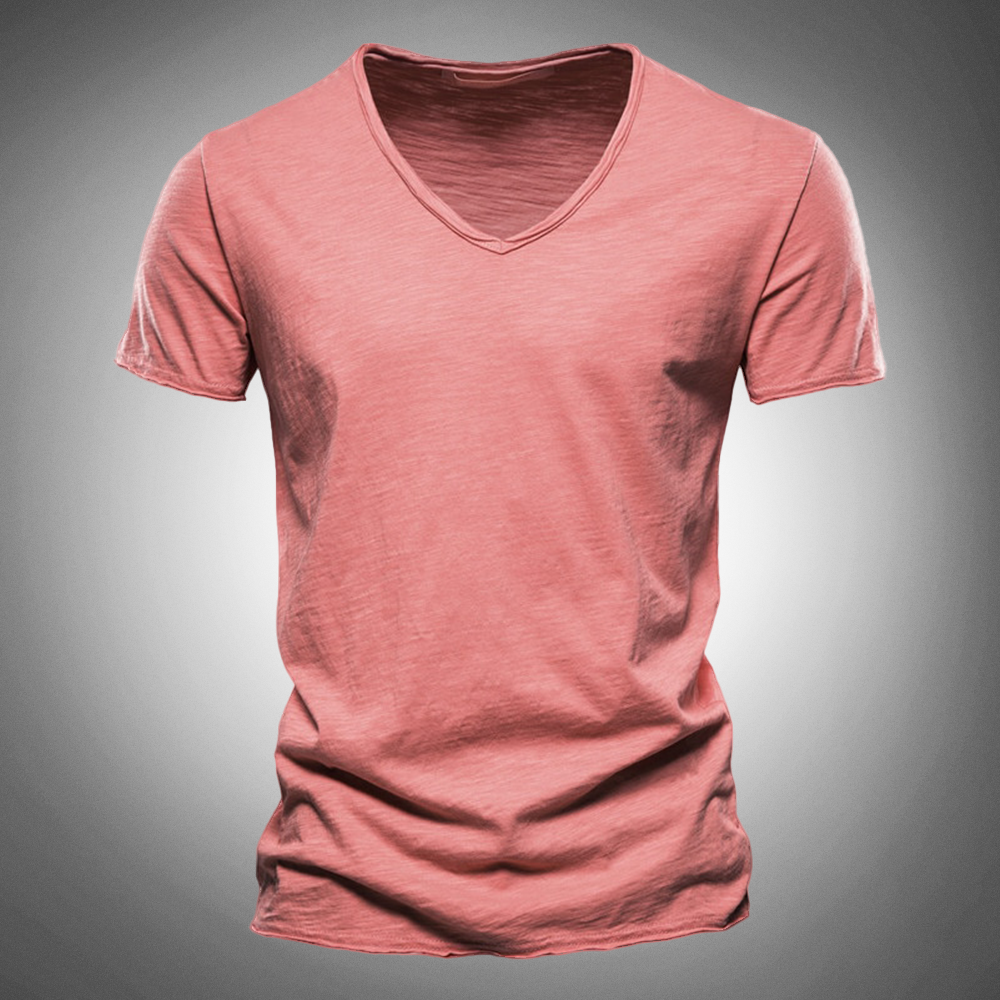 Hudson Regular Fit Cotton Shirt
