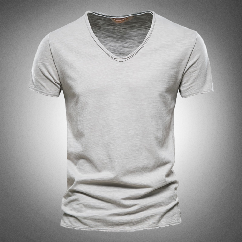 Hudson Regular Fit Cotton Shirt