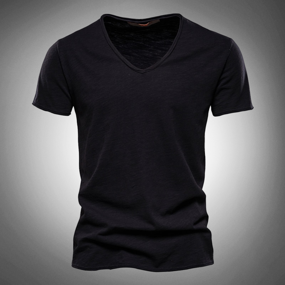 Hudson Regular Fit Cotton Shirt